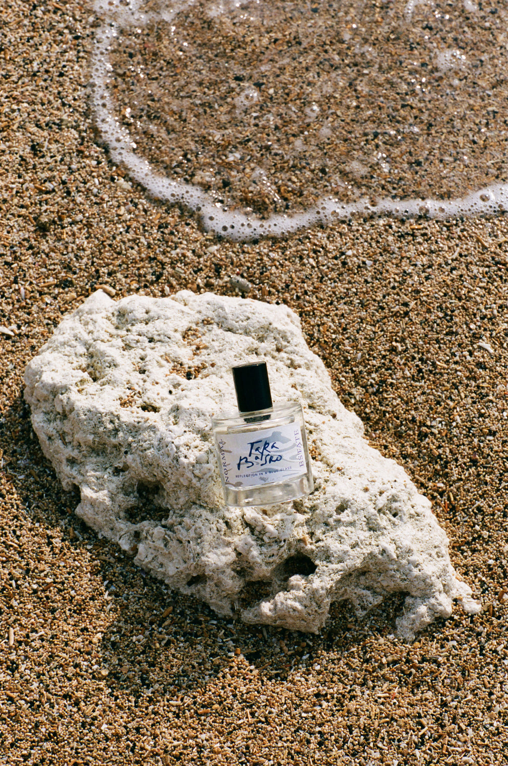 Reflection In A Blue Glass | NE x Tara Basro